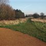 Fairlop Waters