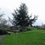 St Francis Park