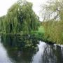 Foots Cray Meadows