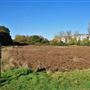Mitcham Common