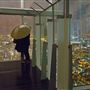 The View from the Shard