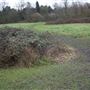 Arrandene Open Space
