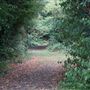Boston Manor Playing Fields