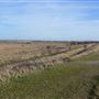 Rainham Marshes - Thames Side