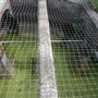 Waterworks Wellhead