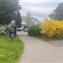 Bostall Gardens