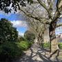 Grove Hall Park