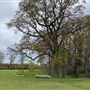 Waring Park