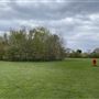 Abbey Hill Park