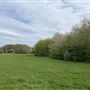 Marlborough Park