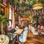 Mr Fogg's House of Botanicals