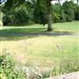 Stephens House & Gardens