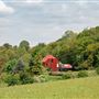 Foxfield Farm