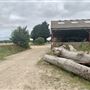 Runaway Farm