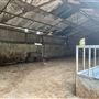 Waddle Farm