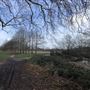 Wanstead Park