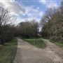 Wanstead Park