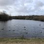 Wanstead Park