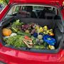 Grange Lane Allotments