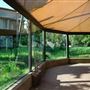 London Zoo