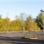 The Lakeside Campus
