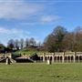 Crystal Palace Park