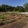 Soul Farm