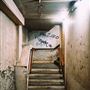 Pages Walk