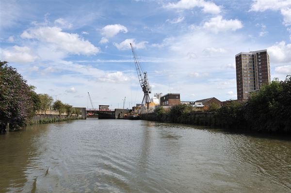 Deptford Creek (01/05/2019)