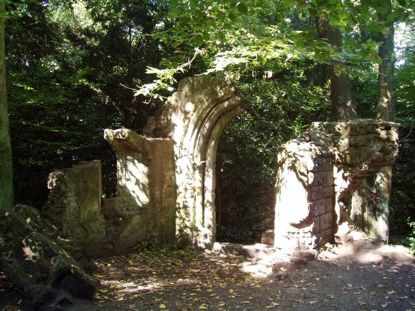 Sydenham Hill Wood (01/05/2019)