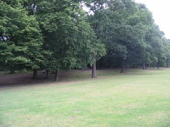Cherry Tree Wood (01/05/2019)