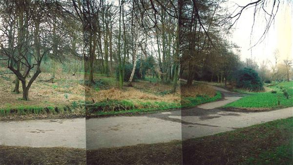 Maryon Wilson Park (01/05/2019)