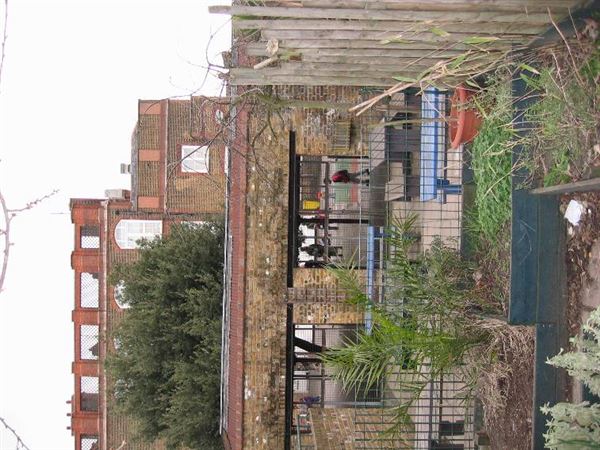 William Patten Primary School (01/05/2019)