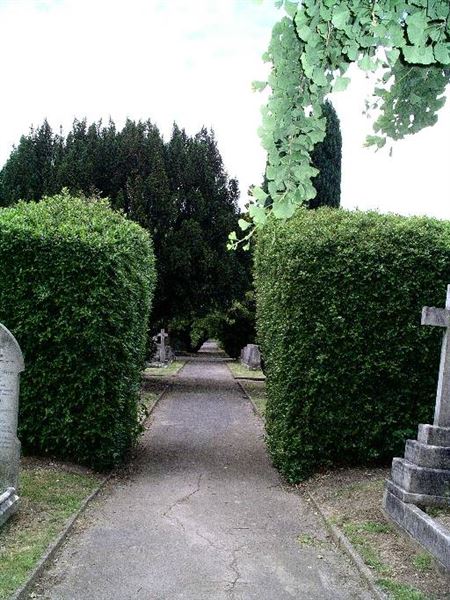 Old Southgate Cemetery (01/05/2019)