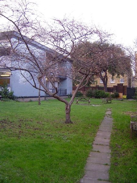 Clapton Girls' Academy (01/05/2019)