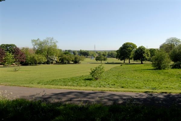 Springfield Park (01/05/2019)