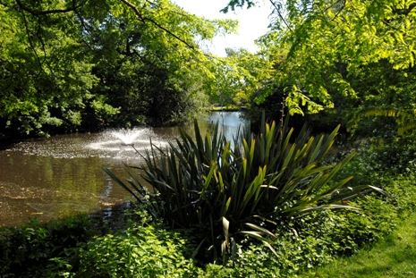 Springfield Park (01/05/2019)