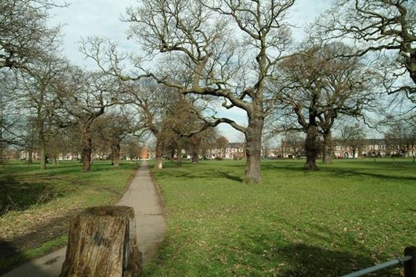Tooting Triangle (01/05/2019)