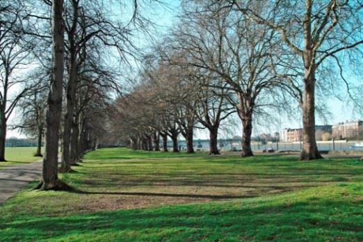 Wandsworth Park (01/05/2019)