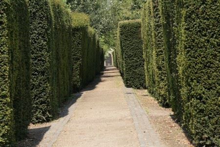 Chiswick House Grounds (01/05/2019)