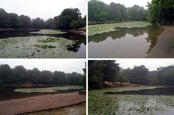 Keston Ponds (01/05/2019)