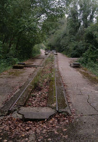 Hackney Marshes (01/05/2019)