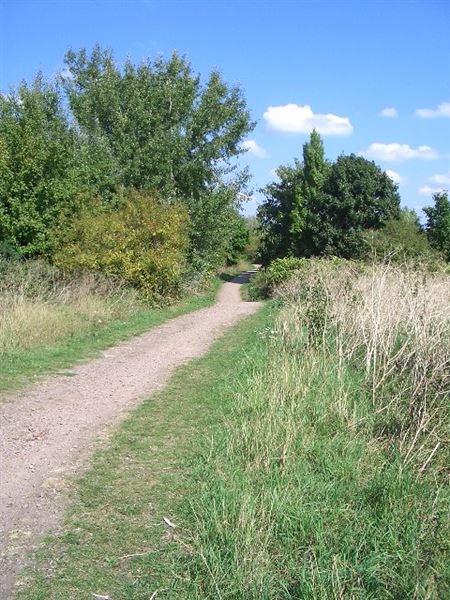 Stonebridge Lock (01/05/2019)