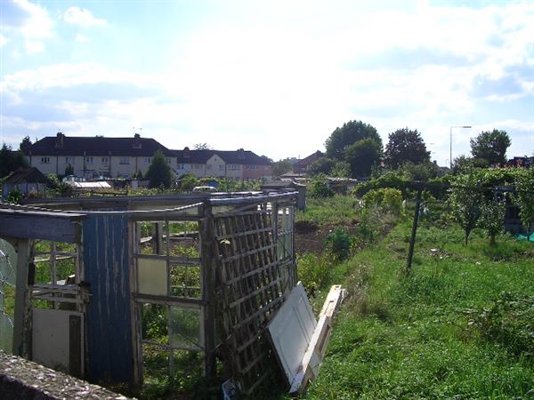 White Hart Lane Allotments (01/05/2019)