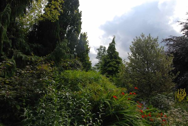 Hampstead Heath - the Hill Garden and Pergola (01/05/2019)