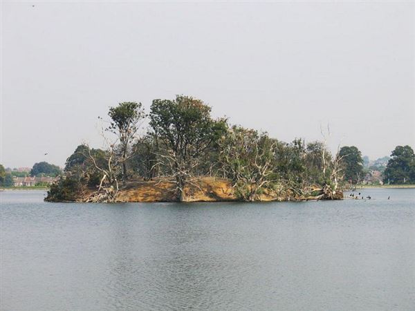 Lockwood Reservoir (01/05/2019)