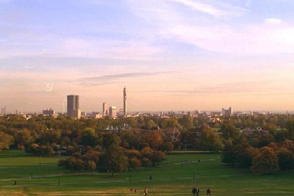Primrose Hill (01/05/2019)