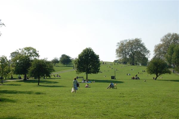 Primrose Hill (01/05/2019)