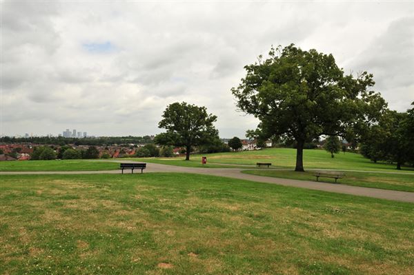 Blythe Hill Fields (01/05/2019)
