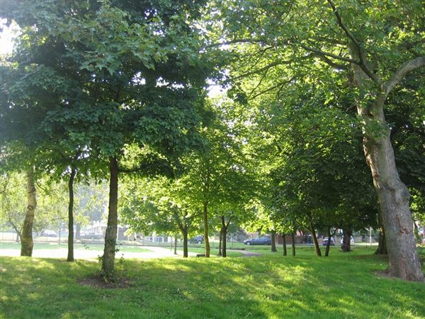 Westow Park (01/05/2019)